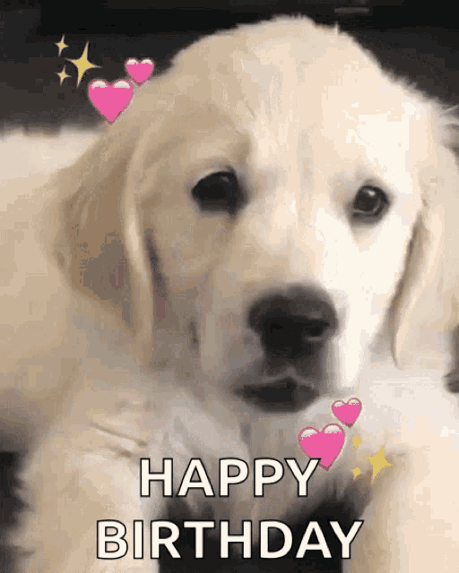 Happy Birthday Puppy GIF HappyBirthday Puppy Celebrate