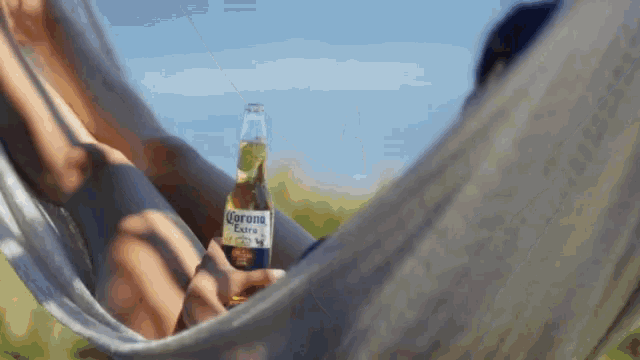 Image result for corona beer