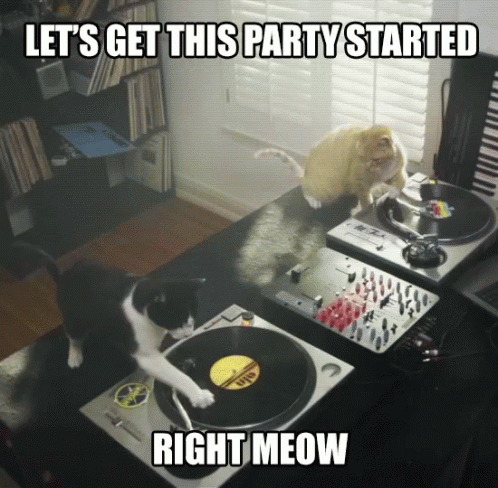 Image result for let's get this party started