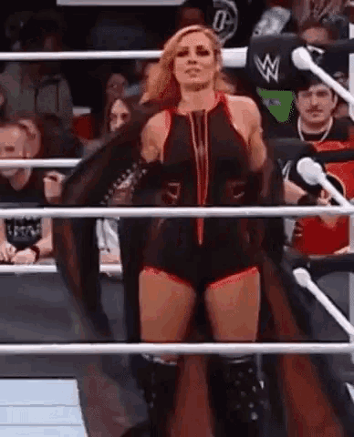 Картинки по запросу wwe Becky Lynch hot