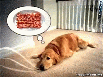 Its Bacon Begging GIF - ItsBacon Begging Strips - Discover & Share GIFs