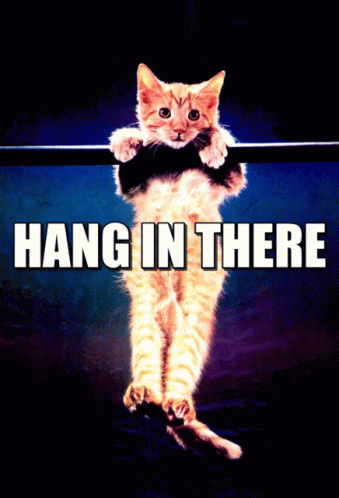 Hang In There GIFs | Tenor