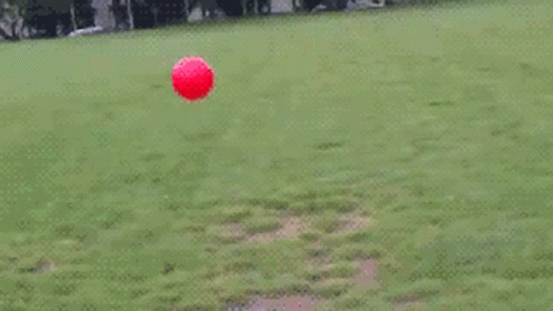 dog touches ball it starts bouncing