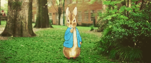 The popular Peter Rabbit GIFs everyone's sharing