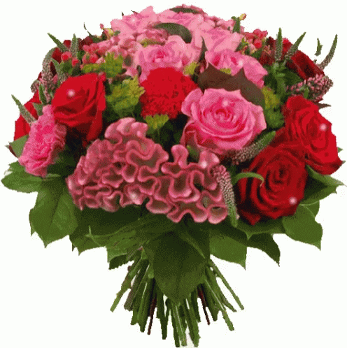Bouquet Flowers GIF - Bouquet Flowers - Discover & Share GIFs