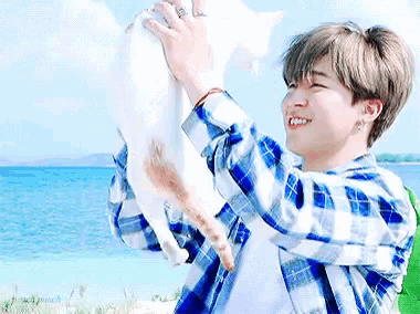 jimin and cat gif