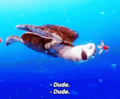 seaturtle nemo gif seaturtle nemo gif