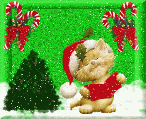 Sing Bells Singing Cats GIF - SingBells SingingCats ChristmastMusic ...