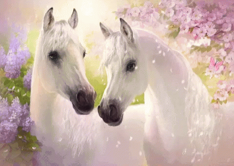 Only Fools And Horses Gifs Tenor Horses Gif Gifs