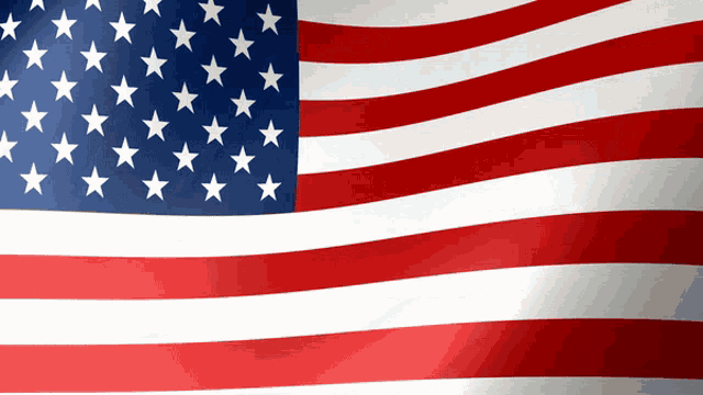 Usa Us Flag GIF - Usa UsFlag GIFs