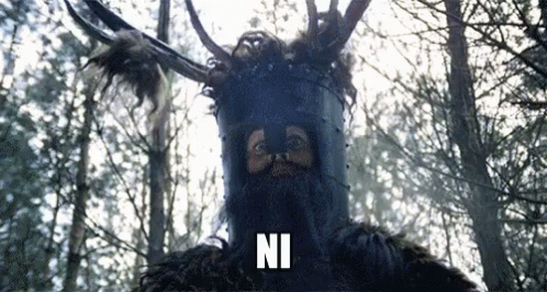 Risultati immagini per knight of ni