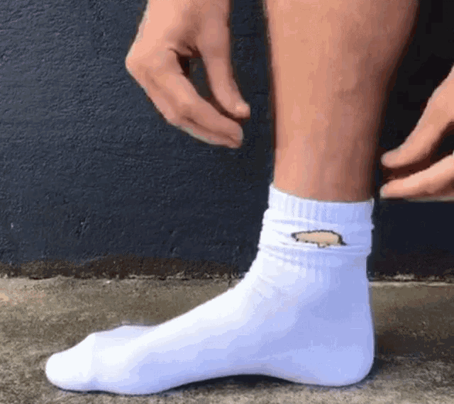 5 Reasons Why Picking Out The Right Summer Sock Is Crucial – Socksoho