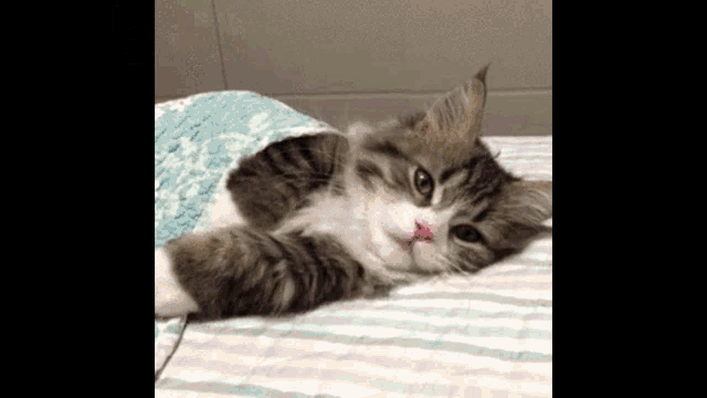 tenor.gif?itemid=19918748