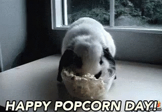 Image result for Popcorn Day gif