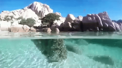 sardegna gif sardegna sardinia italy discover share gifs