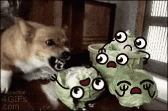 angry corgi plush