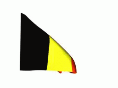 Belgium Flag GIF - Belgium Brussels Flag - Discover & Share GIFs