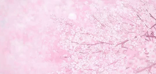 Anime Pink GIF - Anime Pink Sakura - Discover & Share GIFs