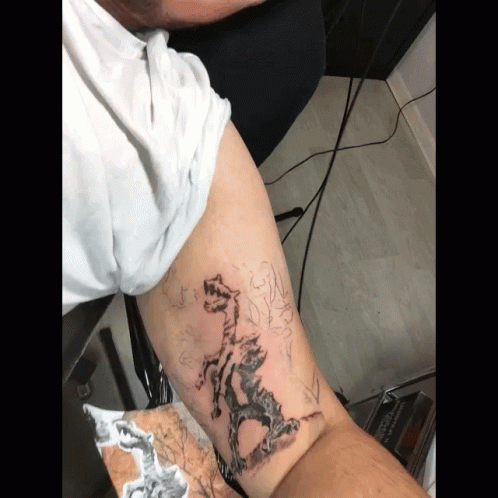 Christopher Drew Tattoos Gifs Tenor