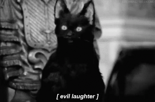 Evil Cat GIF - Evil Cat Laugh - Descubre & Comparte GIFs