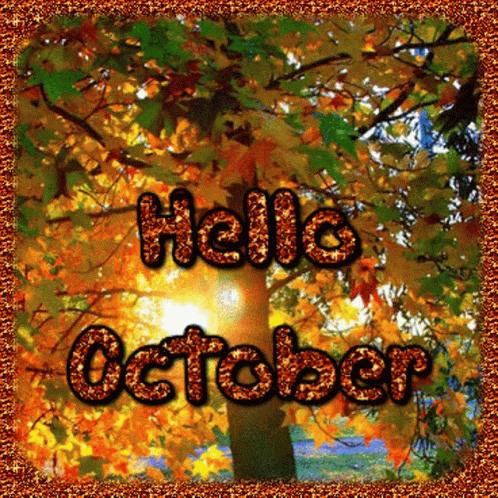 Hello October Tree GIF - HelloOctober Tree Sunshine - Discover & Share GIFs