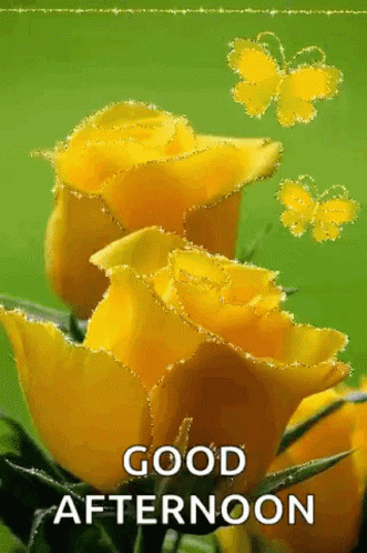 Good Afternoon Sparkles GIF - GoodAfternoon Sparkles Greetings ...