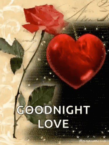 Good Night Love Flower GIF - GoodNightLove GoodNight Flower - Discover ...