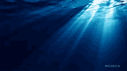 Ocean Sea GIF - Ocean Sea - Discover & Share GIFs