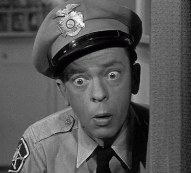 Image result for don knotts shaking gif