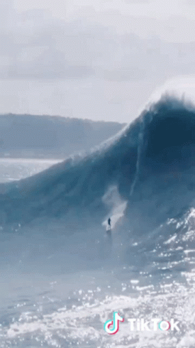 Surfing Surfer GIF - Surfing Surf Surfer - Descubre & Comparte GIFs