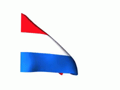 Afbeeldingsresultaat voor flag holland gif