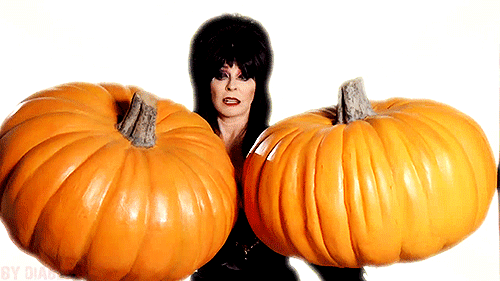 Image result for sexy pumpkin gif