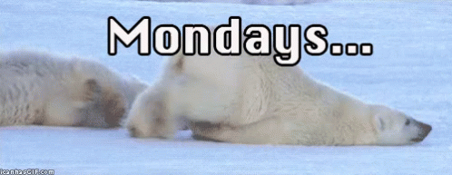 Image result for Monday gif