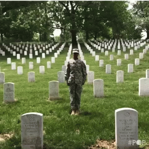 Image result for memorial day gif
