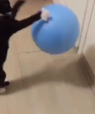 bouncing tumbleweed gif bouncing tumbleweed gif