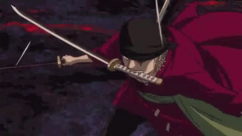 Kết quả hình ảnh cho zoro fight