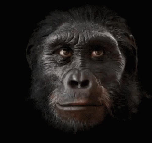 Evolucion Del Humano GIF - Evolution Ape Man - Discover & Share GIFs