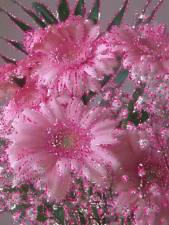 Nice Pink Flowers Gifs Tenor Pink Flowers Gif Gifs