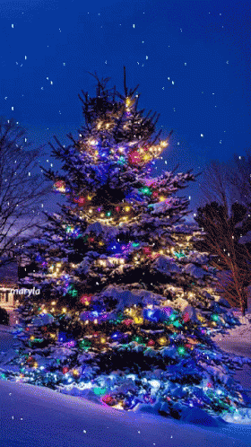 Snow Christmas Tree GIF - Snow ChristmasTree Christmas - Discover ...