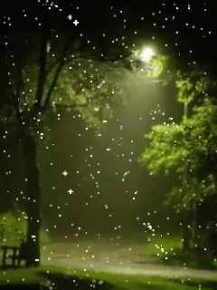 Night Rain GIFs | Tenor