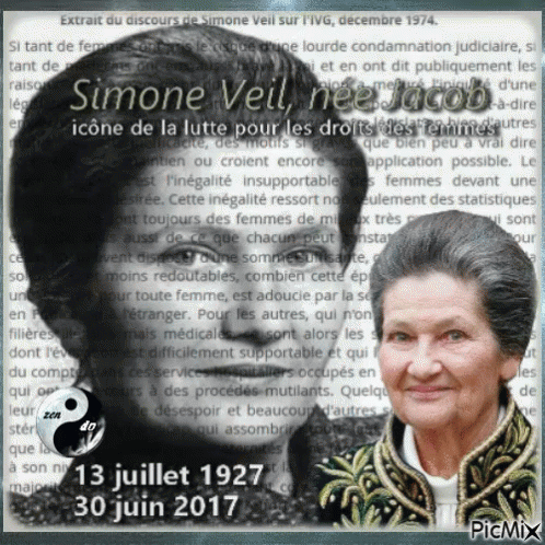 SIMONE VEIL GIF - SimoneVeil - Discover & Share GIFs