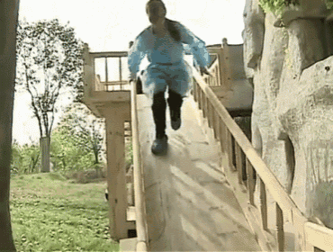 pandas slide crash gif panda slide crash discover share gifs