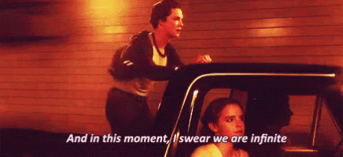 THE PERKS OF BEING A WALLFLOWER- lines