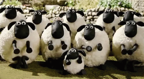 Sheep Clapping GIF - Sheep Clapping Clap - Discover & Share GIFs