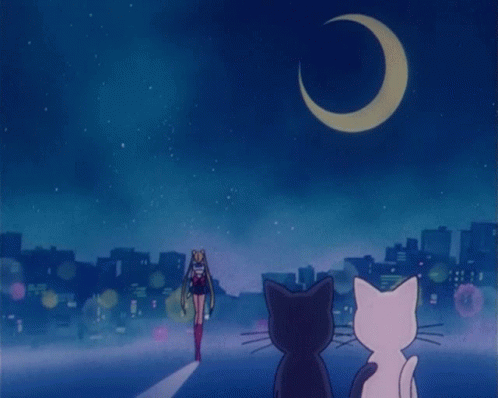 Sailor Moon Luna Gif Sailormoon Luna Artemis Discover Share Gifs Sailor Moon Luna Gif Sailormoon Luna Artemis Discover Share Gifs