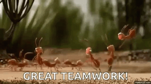 Ants Teamwork GIFs | Tenor