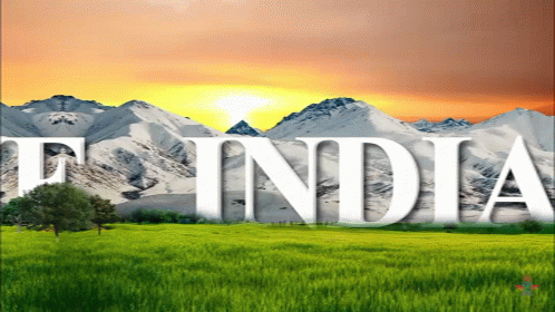 India Indian Flag GIF - India IndianFlag - Discover & Share GIFs