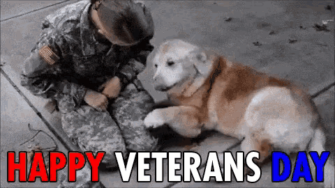 Happy Veterans Day Soliders Gif Happyveteransday Veteransday