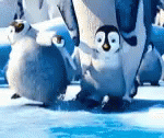 Cute Penguin GIF - Cute Penguin Animated - Discover & Share GIFs