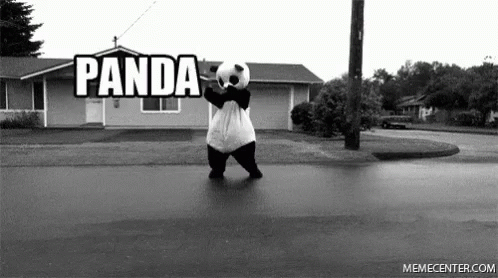 Panda Dance GIF - Panda Dance DancingOnTheStreet - Discover & Share GIFs